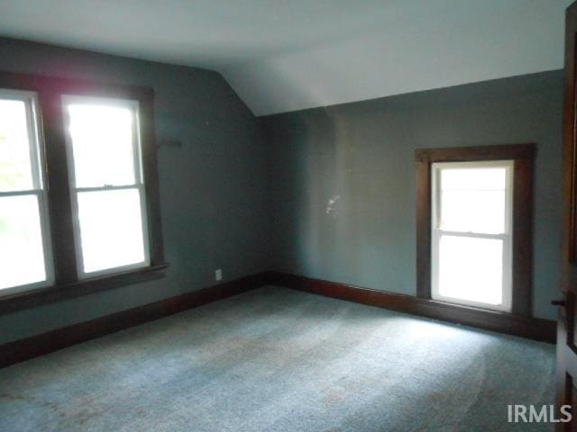 additional living space with lofted ceiling and carpet