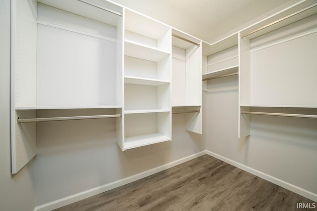 walk in closet featuring wood finished floors