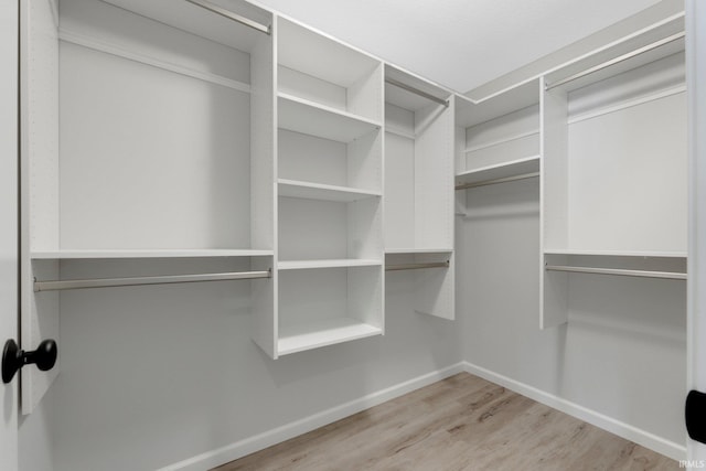 spacious closet featuring light wood-style floors