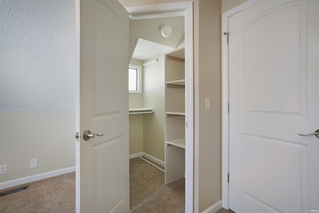 walk in closet with light carpet