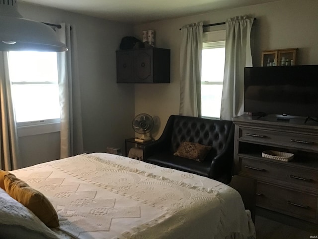 bedroom featuring multiple windows