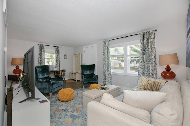 living room featuring hardwood / wood-style floors