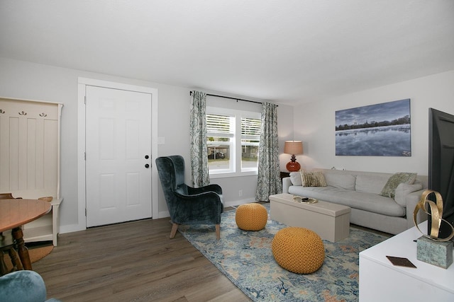 living room featuring dark hardwood / wood-style flooring