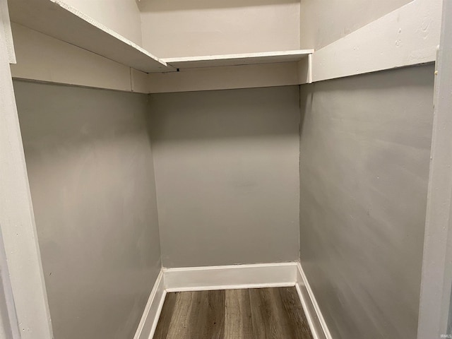 walk in closet featuring wood finished floors