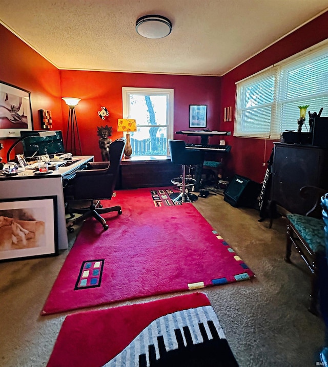 carpeted home office with a textured ceiling