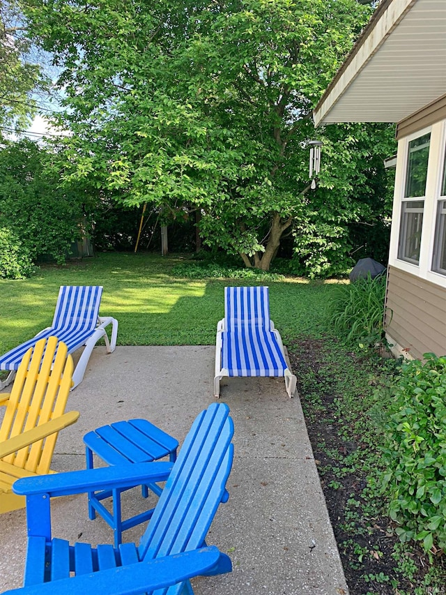 view of yard featuring a patio area