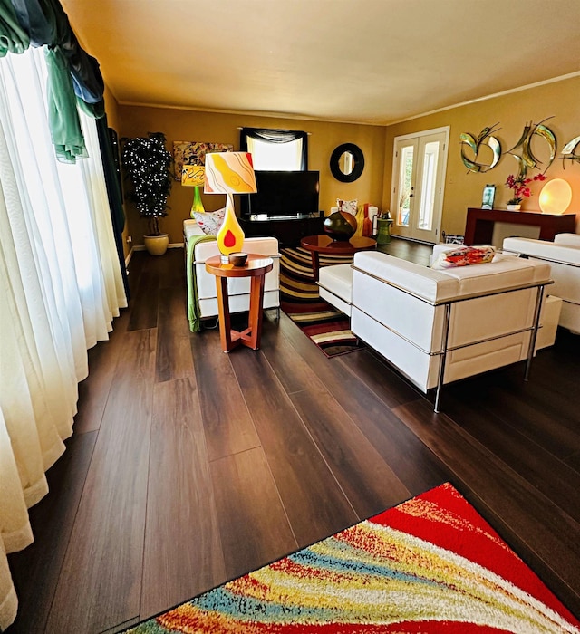 living room with dark wood-type flooring