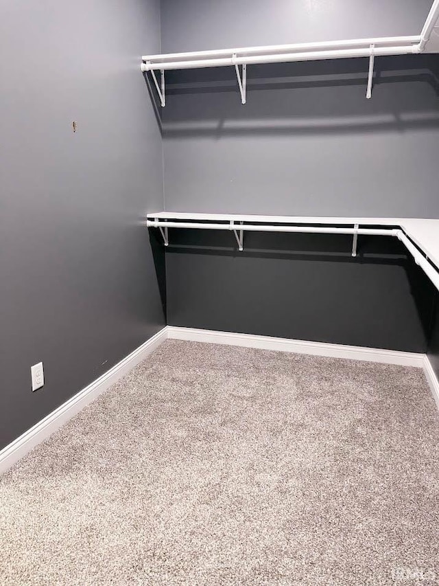 walk in closet featuring carpet