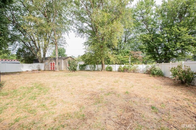 view of yard with a storage shed