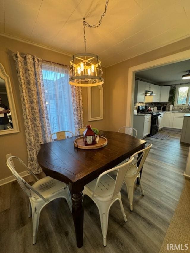 dining room with wood-type flooring and a notable chandelier