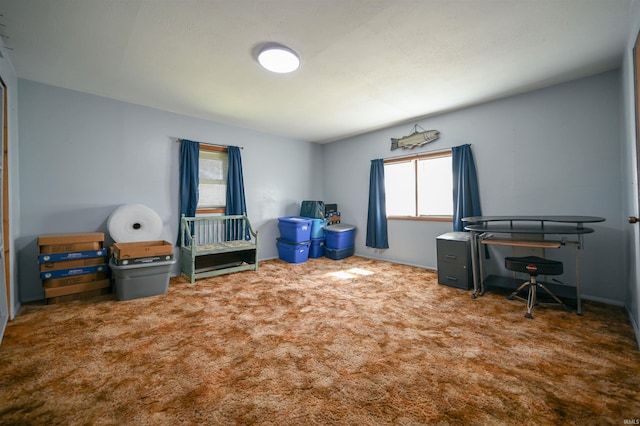 home office featuring carpet flooring