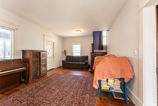 living room featuring wood-type flooring and a wealth of natural light