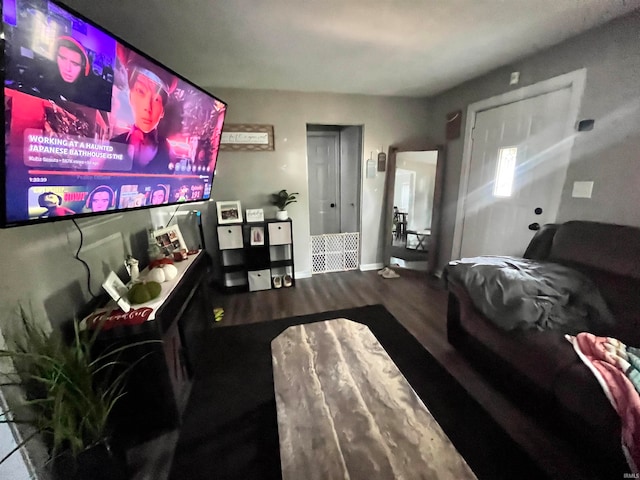 living room with hardwood / wood-style floors