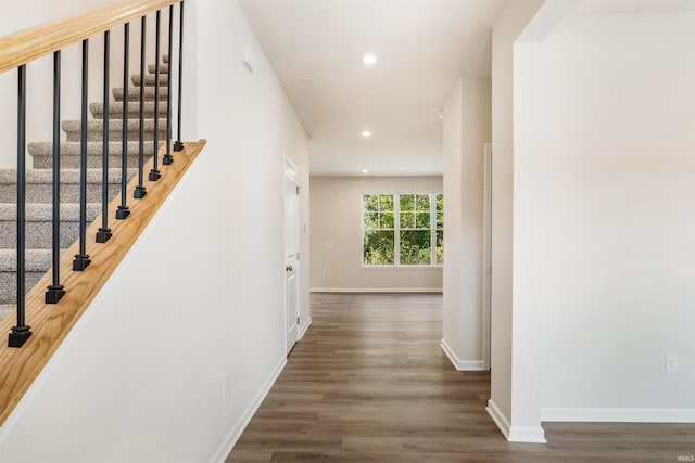 corridor with dark hardwood / wood-style flooring