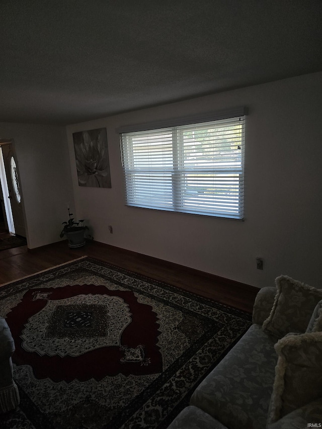 living room featuring a textured ceiling and hardwood / wood-style flooring