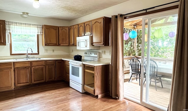 kitchen featuring a textured ceiling, light hardwood / wood-style flooring, sink, and white appliances