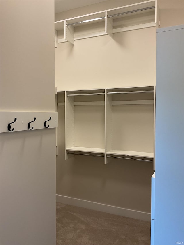 spacious closet featuring carpet floors