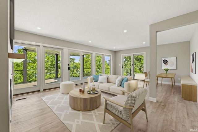 living room featuring light wood-type flooring