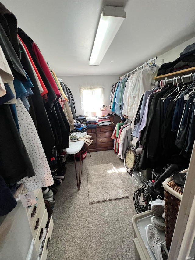 spacious closet featuring carpet floors