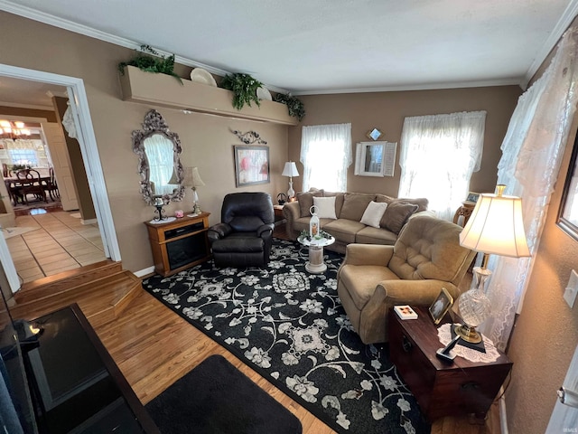 living room featuring ornamental molding and light hardwood / wood-style flooring