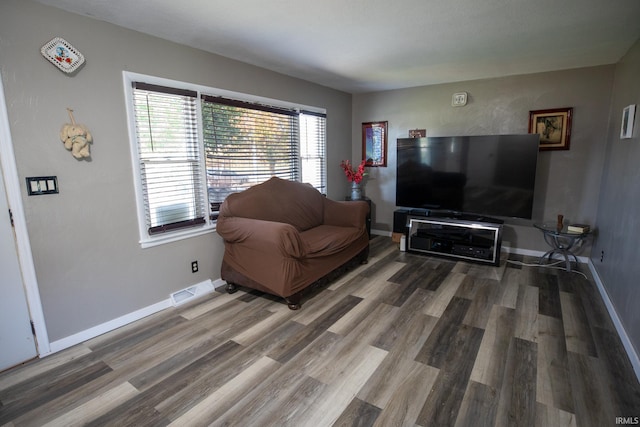 living room featuring wood-type flooring