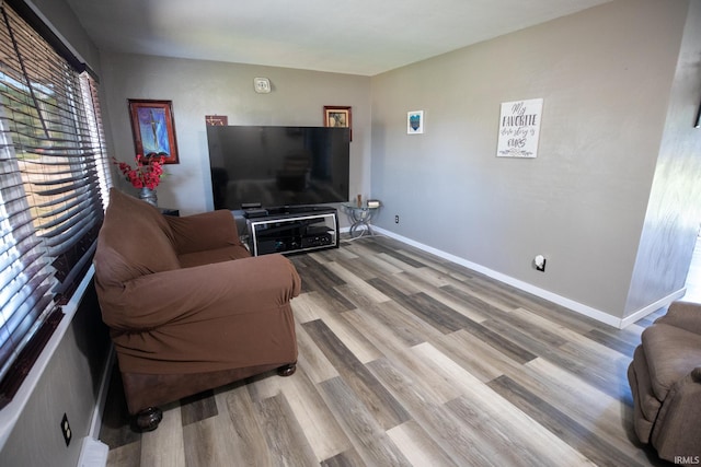 living room featuring hardwood / wood-style floors