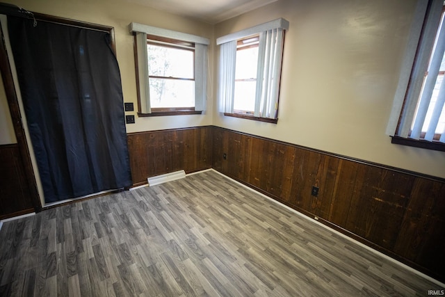 empty room featuring wooden walls and dark hardwood / wood-style flooring