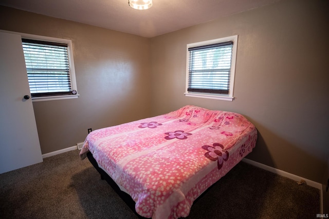 carpeted bedroom with multiple windows