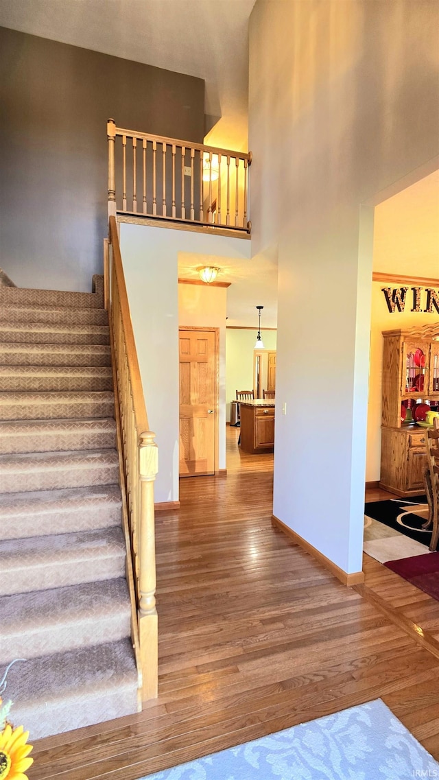 1509 Hawksview Dr, Marion, IN 46952 - stairway with a high ceiling, baseboards, and wood finished floors
