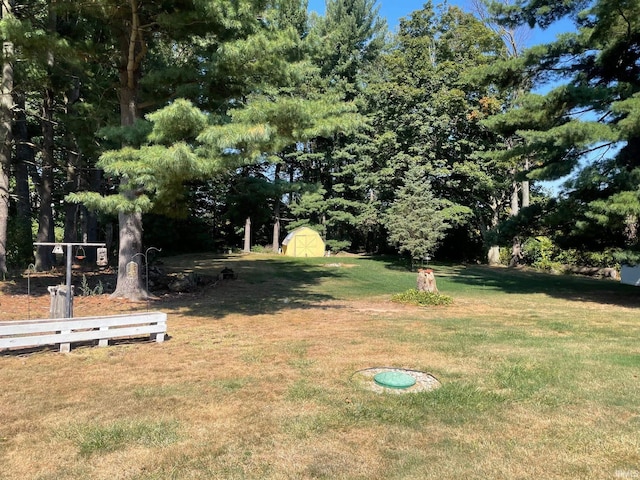 view of yard featuring a shed