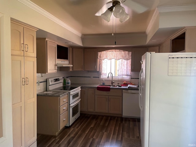 kitchen featuring dark hardwood / wood-style flooring, white appliances, ceiling fan, and sink