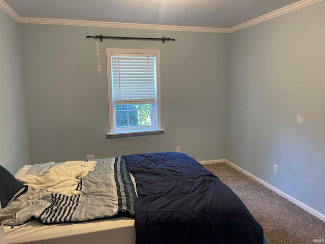 bedroom featuring carpet floors and crown molding