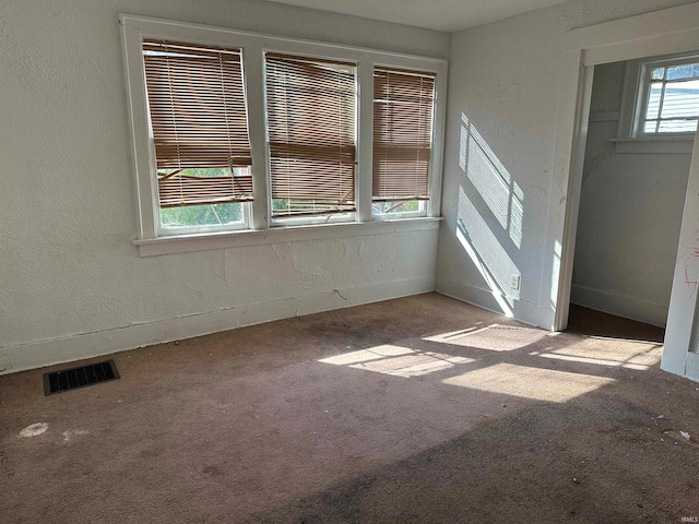 carpeted empty room with a wealth of natural light