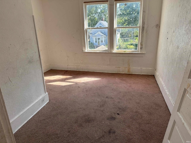 spare room with carpet floors and plenty of natural light