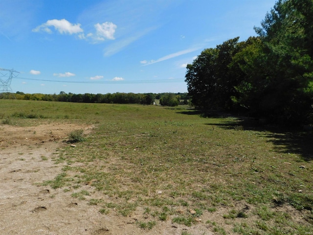 view of local wilderness with a rural view