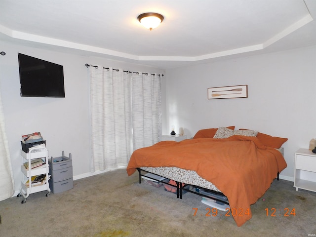 carpeted bedroom featuring a raised ceiling