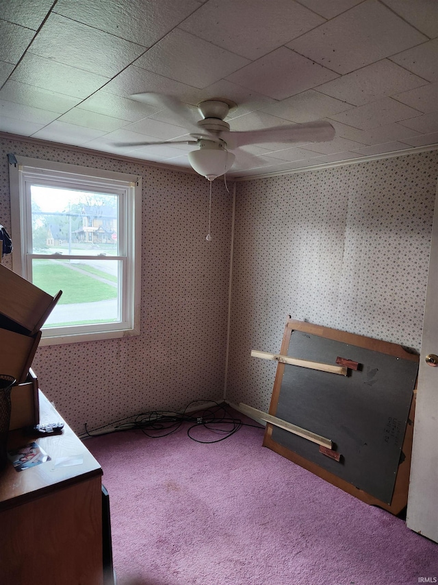 unfurnished bedroom featuring ceiling fan and carpet floors