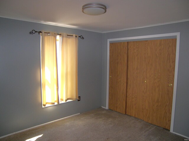 unfurnished bedroom featuring ornamental molding, a closet, and carpet flooring