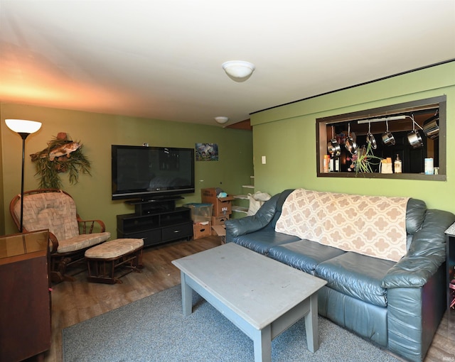 living room with wood-type flooring