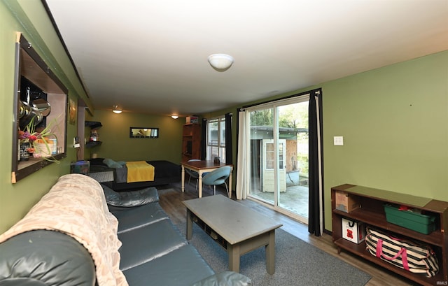 living room featuring dark hardwood / wood-style floors