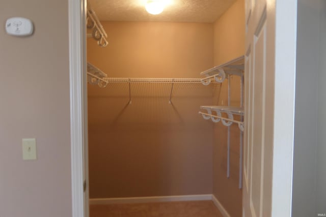 spacious closet with carpet