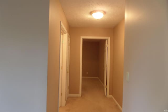 hall featuring light carpet and a textured ceiling