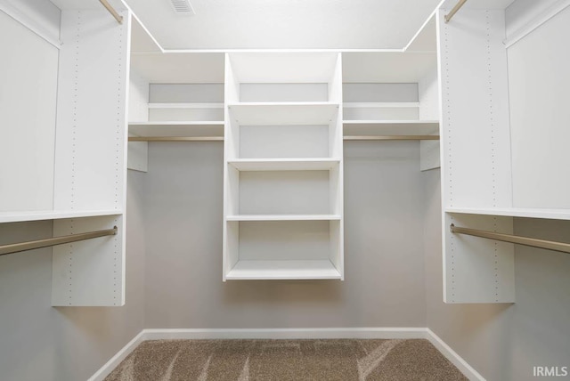 spacious closet featuring carpet