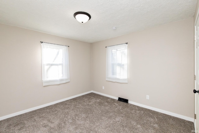 carpeted empty room featuring a textured ceiling and plenty of natural light