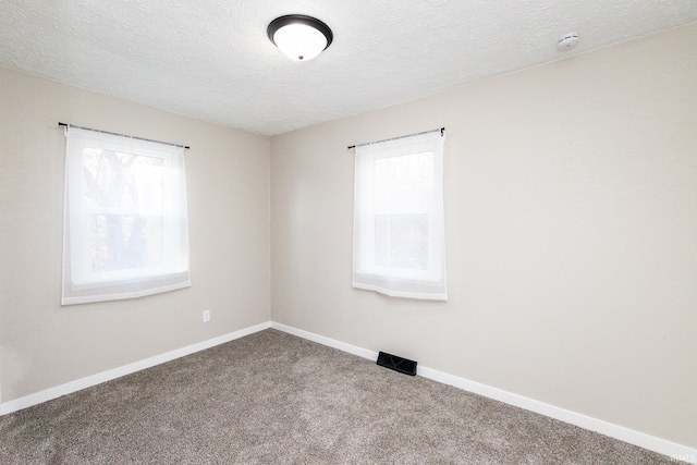 empty room with carpet flooring and a textured ceiling