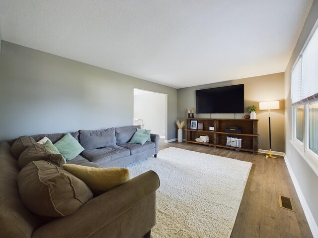 living room with wood-type flooring