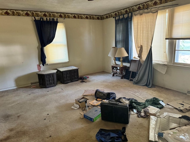 miscellaneous room featuring a textured ceiling and carpet floors