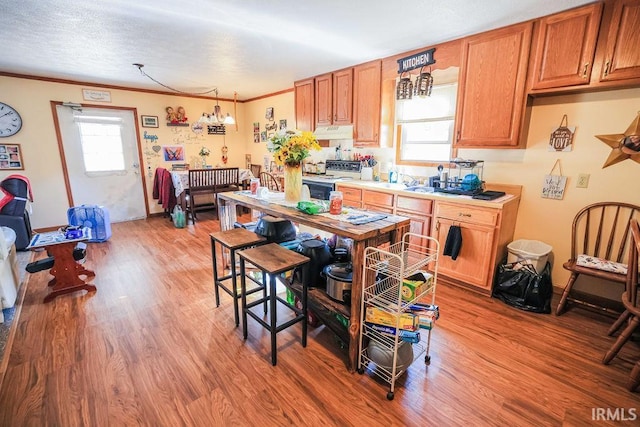 kitchen featuring wood-type flooring, white range, ornamental molding, and a healthy amount of sunlight