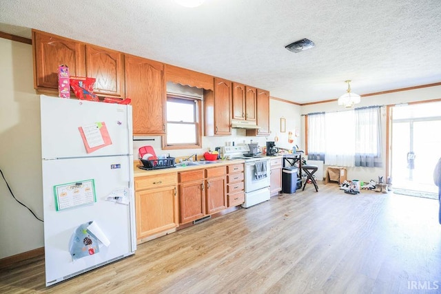 kitchen featuring sink, crown molding, light hardwood / wood-style floors, a textured ceiling, and white appliances