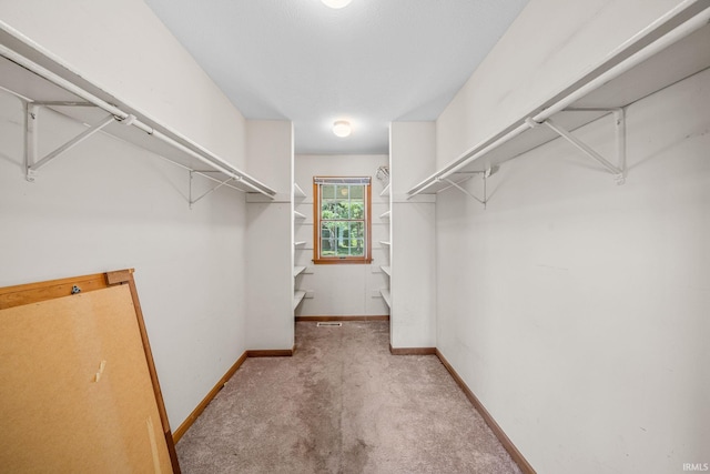 walk in closet with carpet floors